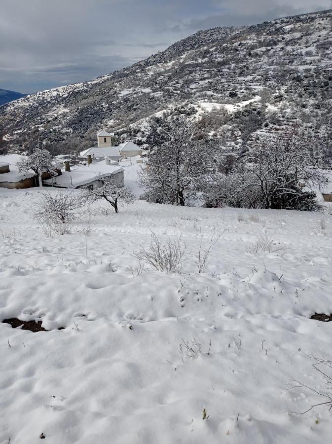 El Nogal Διαμέρισμα Bubión Εξωτερικό φωτογραφία