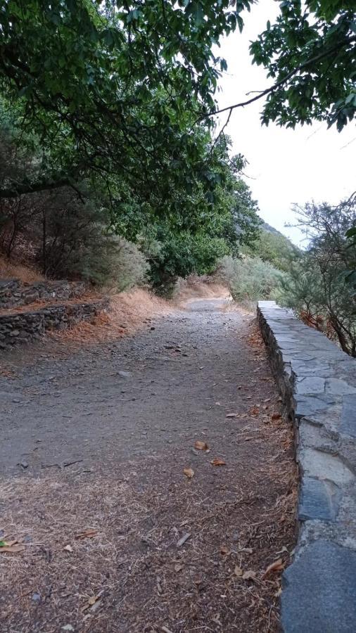 El Nogal Διαμέρισμα Bubión Εξωτερικό φωτογραφία