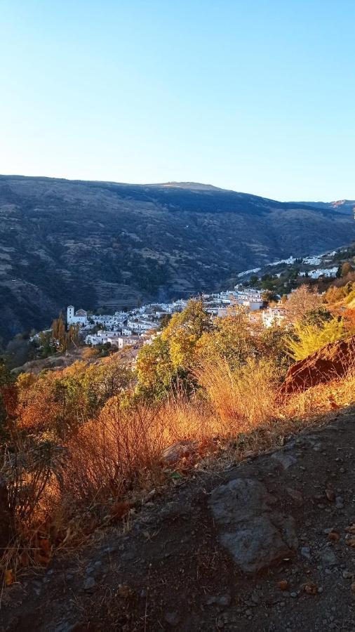 El Nogal Διαμέρισμα Bubión Εξωτερικό φωτογραφία
